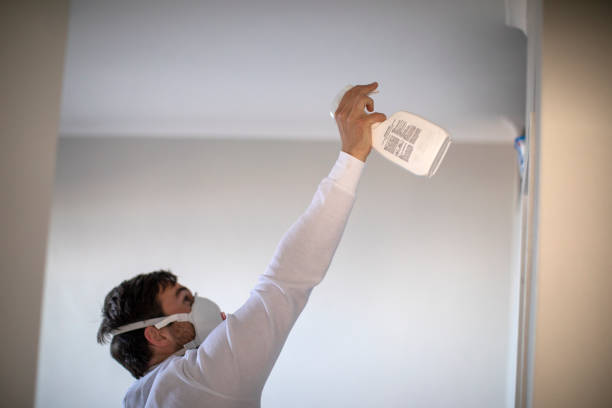 Best Mold Removal Near Me  in West Jordan, UT